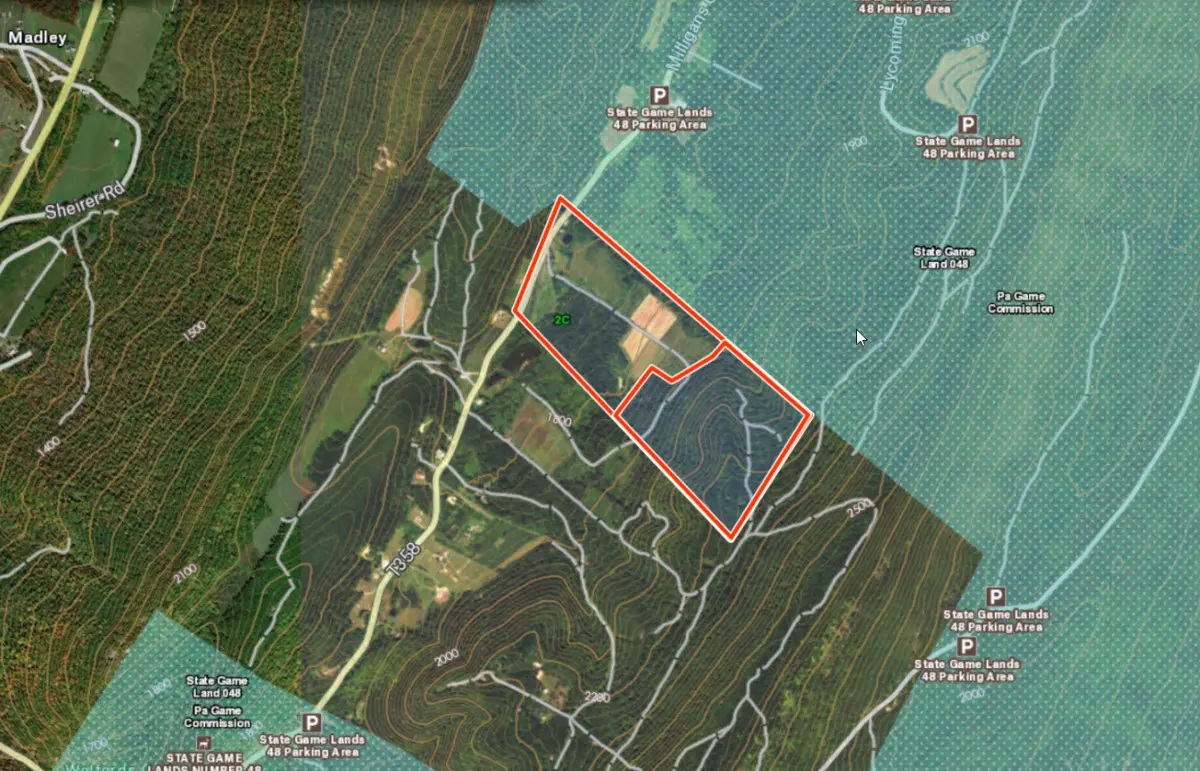 Wildlife & Deer Management | Chilcote Land & Timber